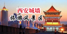 插入少妇屁眼36p中国陕西-西安城墙旅游风景区