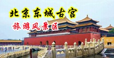 性巴克日本黄色中国北京-东城古宫旅游风景区